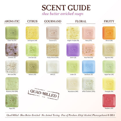 Artisanal Soap Bar, Enriched with Organic Shea Butter, Natural French Skincare, Quad Milled for Rich Smooth Lather, 8.8 Ounce, Lemongrass